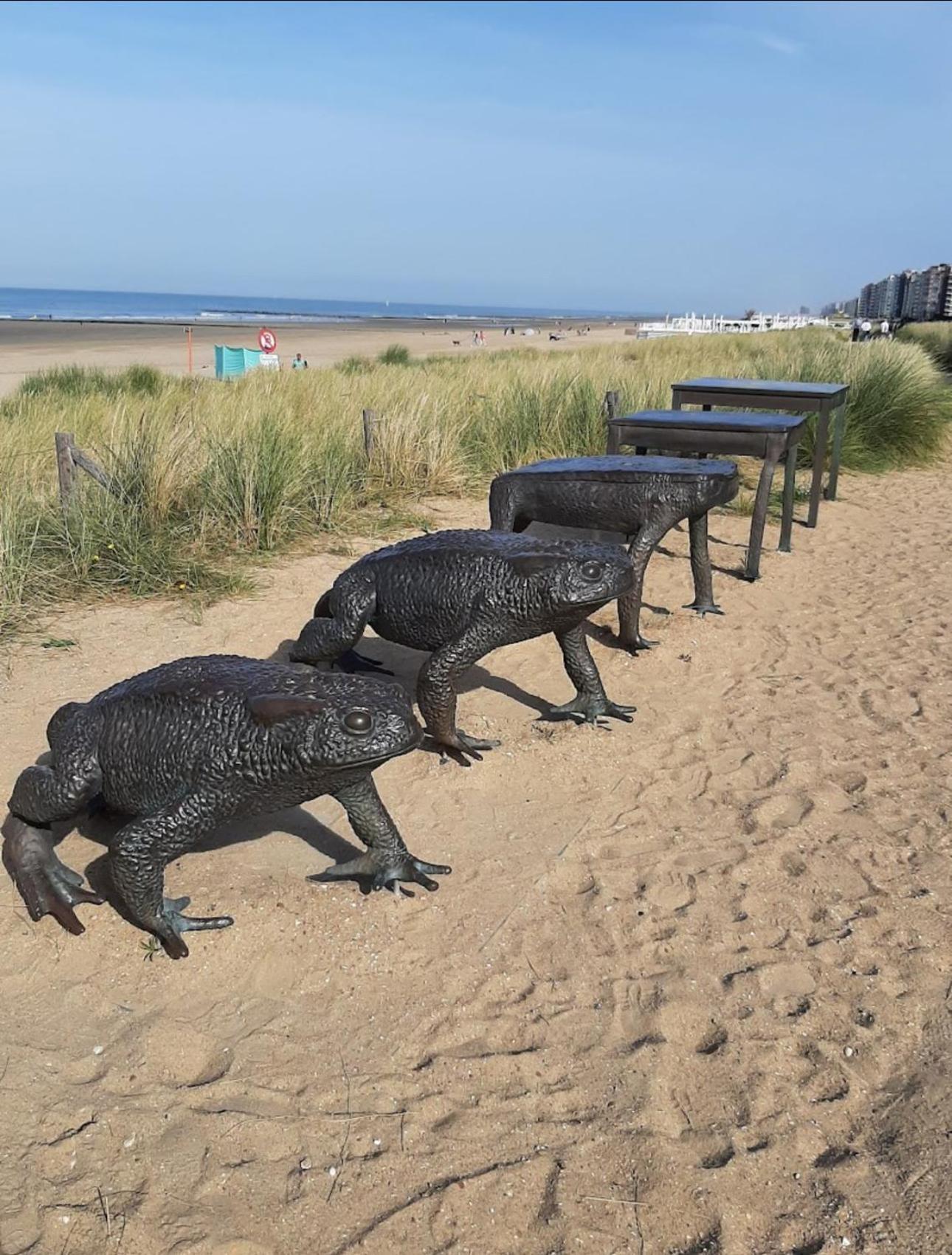 West-End Beach Миделкерк Экстерьер фото