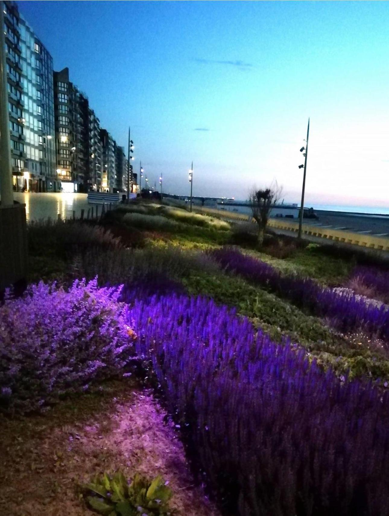 West-End Beach Миделкерк Экстерьер фото